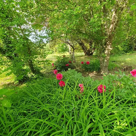 Апартаменты Les Demeures Du Parc, La Bourbonnaise, Proche Des Thermes *